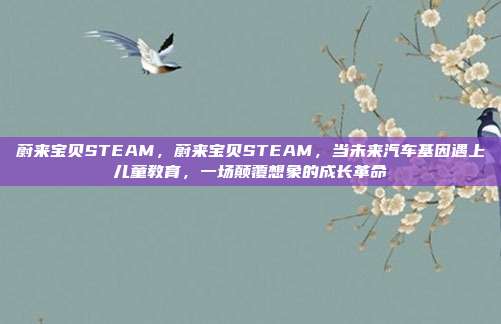 蔚来宝贝STEAM，蔚来宝贝STEAM，当未来汽车基因遇上儿童教育，一场颠覆想象的成长革命