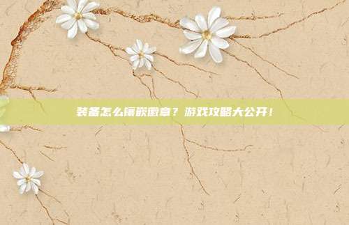 装备怎么镶嵌徽章？游戏攻略大公开！