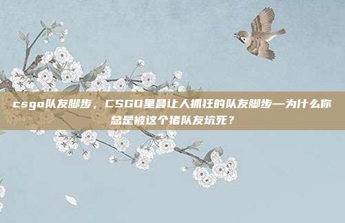 csgo队友脚步，CSGO里最让人抓狂的队友脚步—为什么你总是被这个猪队友坑死？
