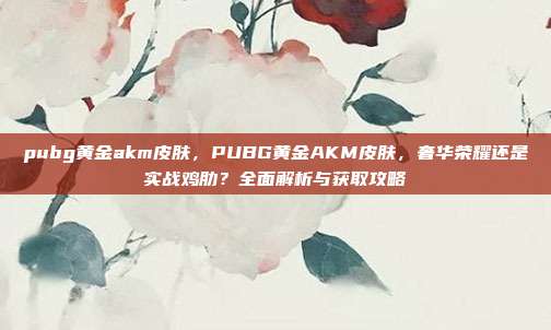 pubg黄金akm皮肤，PUBG黄金AKM皮肤，奢华荣耀还是实战鸡肋？全面解析与获取攻略