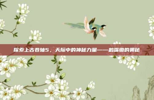 探索上古卷轴5，天际中的神秘力量——鹤嘴锄的奥秘