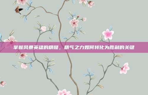 掌握风暴英雄的精髓,精气之力如何转化为胜利的关键