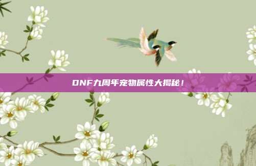 DNF九周年宠物属性大揭秘！