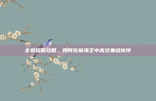 全员登船攻略,如何在航海王中高效集结伙伴