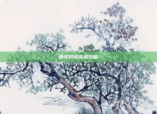 卧龙吟试练塔攻略
