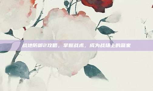 战地防御2攻略，掌握战术，成为战场上的赢家