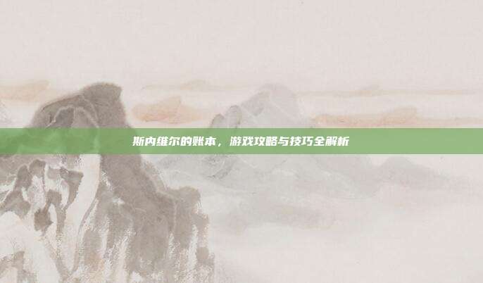 斯内维尔的账本,游戏攻略与技巧全解析