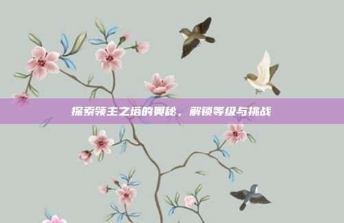 探索领主之塔的奥秘，解锁等级与挑战