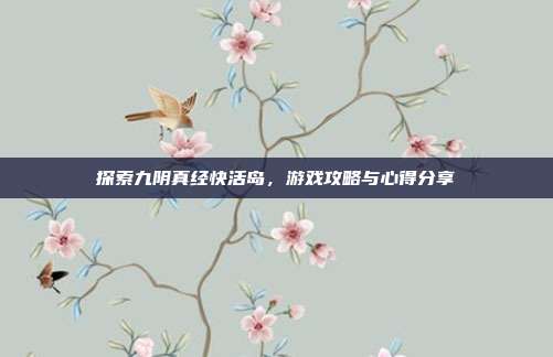 探索九阴真经快活岛,游戏攻略与心得分享