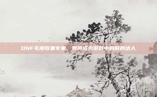 DNF毛皮收集专家,如何成为游戏中的时尚达人