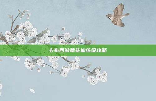 卡布西游草花仙练级攻略