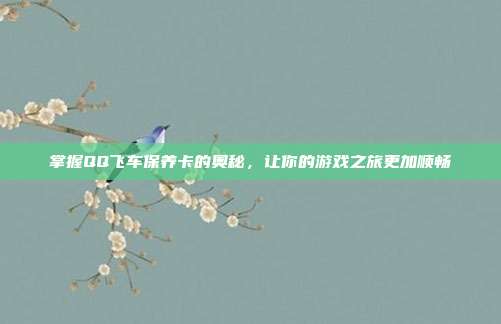 掌握QQ飞车保养卡的奥秘，让你的游戏之旅更加顺畅