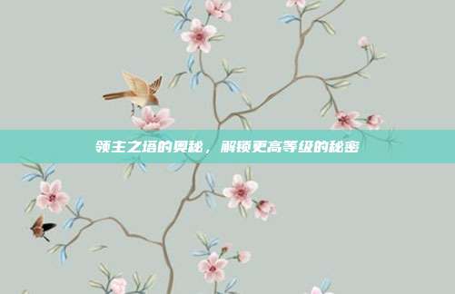 领主之塔的奥秘,解锁更高等级的秘密