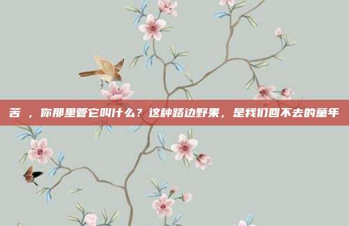 苦蘵，你那里管它叫什么？这种路边野果，是我们回不去的童年