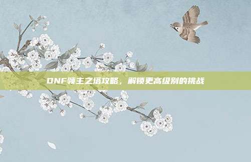 DNF领主之塔攻略,解锁更高级别的挑战