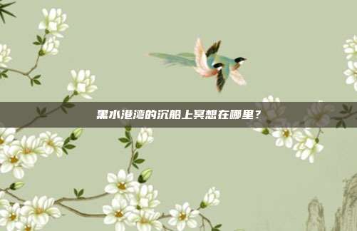 黑水港湾的沉船上冥想在哪里?