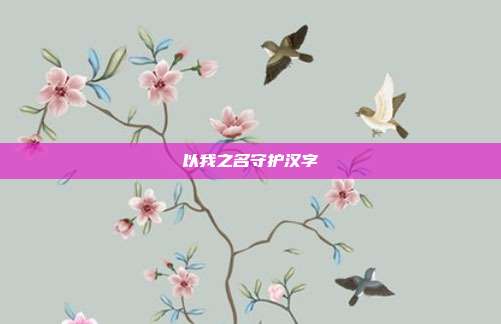 以我之名守护汉字