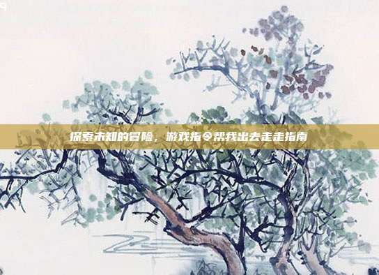 探索未知的冒险,游戏指令帮我出去走走指南