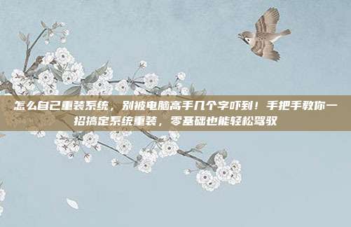怎么自己重装系统，别被电脑高手几个字吓到！手把手教你一招搞定系统重装，零基础也能轻松驾驭