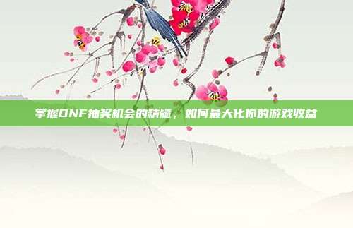 掌握DNF抽奖机会的精髓,如何最大化你的游戏收益