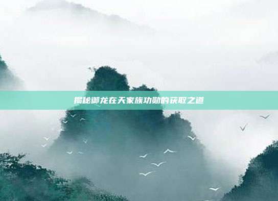 揭秘御龙在天家族功勋的获取之道