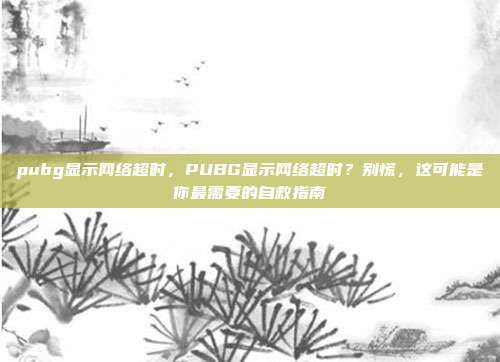 pubg显示网络超时，PUBG显示网络超时？别慌，这可能是你最需要的自救指南