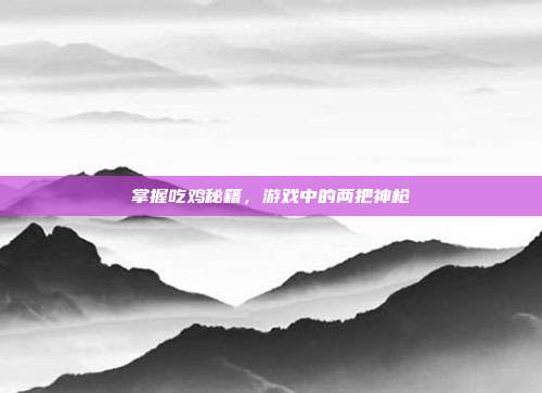 掌握吃鸡秘籍,游戏中的两把神枪