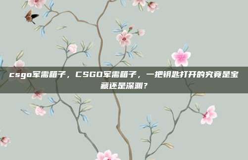 csgo军需箱子，CSGO军需箱子，一把钥匙打开的究竟是宝藏还是深渊？