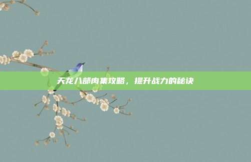天龙八部肉集攻略，提升战力的秘诀