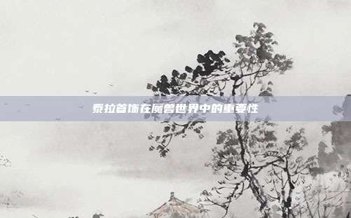 泰拉首饰在魔兽世界中的重要性
