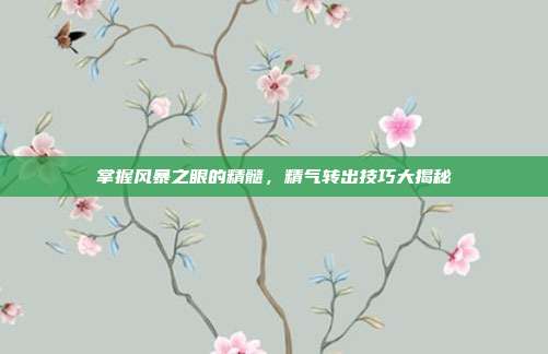 掌握风暴之眼的精髓，精气转出技巧大揭秘
