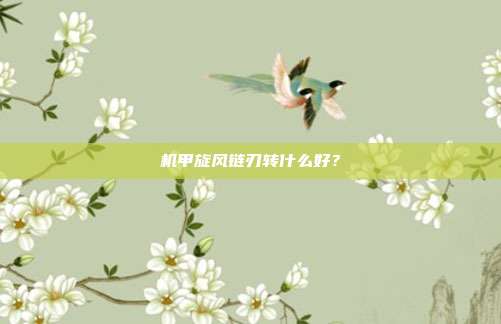 机甲旋风链刃转什么好?