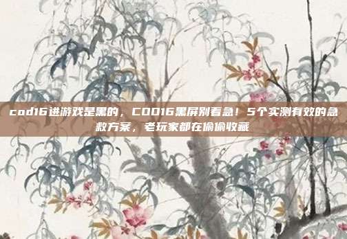 cod16进游戏是黑的，COD16黑屏别着急！5个实测有效的急救方案，老玩家都在偷偷收藏