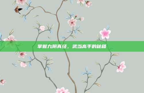 掌握九阴真经,武当高手的秘籍
