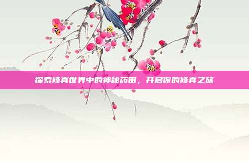 探索修真世界中的神秘药田,开启你的修真之旅