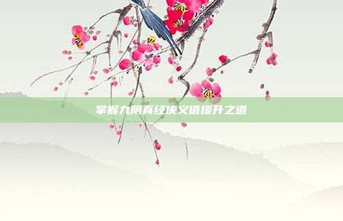 掌握九阴真经侠义值提升之道