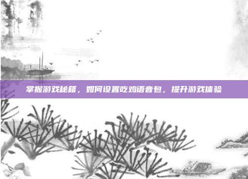 掌握游戏秘籍,如何设置吃鸡语音包,提升游戏体验
