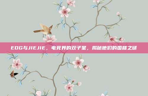 EDG与JIEJIE,电竞界的双子星,揭秘他们的国籍之谜
