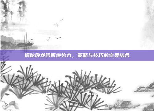 揭秘卧龙吟何进势力，策略与技巧的完美结合