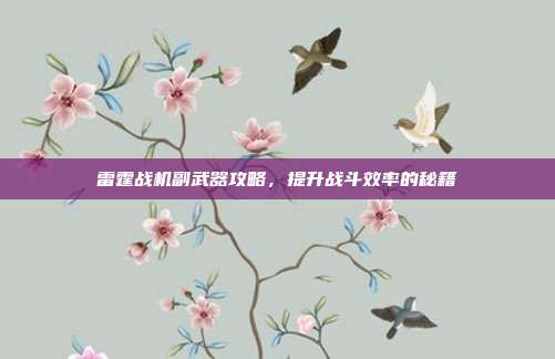 雷霆战机副武器攻略，提升战斗效率的秘籍