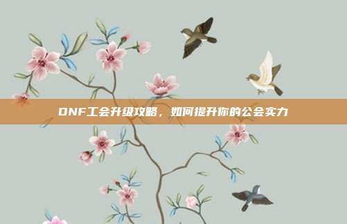 DNF工会升级攻略,如何提升你的公会实力