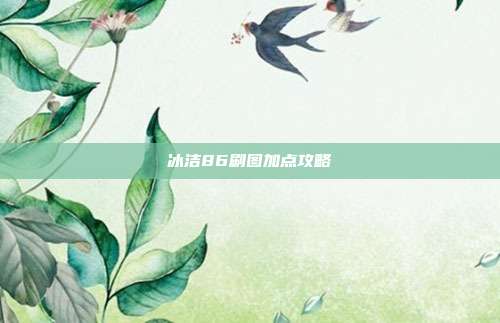 冰洁86刷图加点攻略