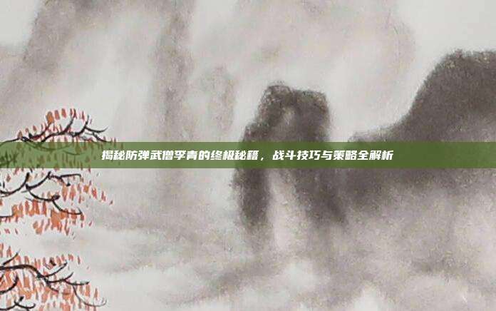 揭秘防弹武僧李青的终极秘籍,战斗技巧与策略全解析