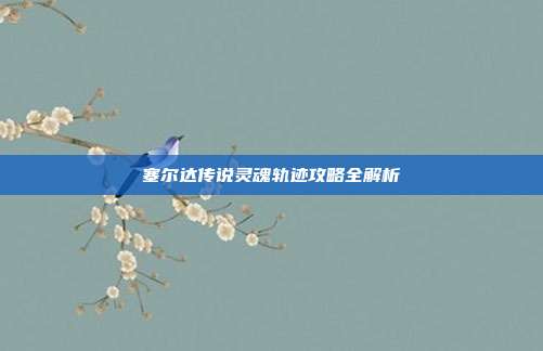 塞尔达传说灵魂轨迹攻略全解析
