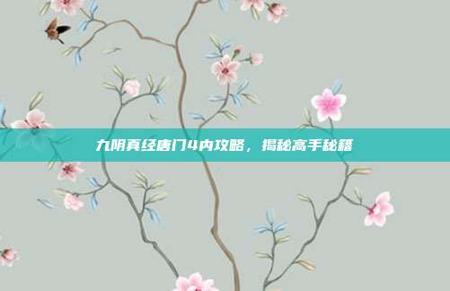 九阴真经唐门4内攻略,揭秘高手秘籍
