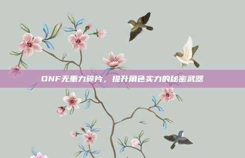 DNF无重力碎片,提升角色实力的秘密武器