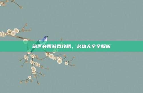 暗区突围游戏攻略,杂物大全全解析