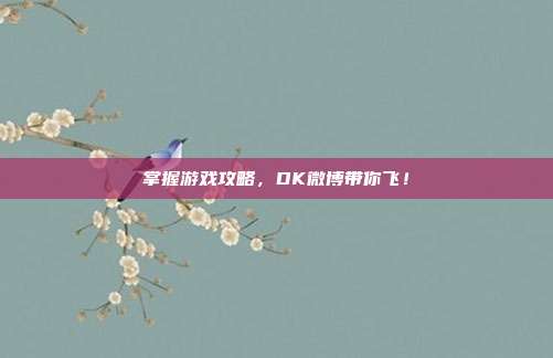 掌握游戏攻略,DK微博带你飞!