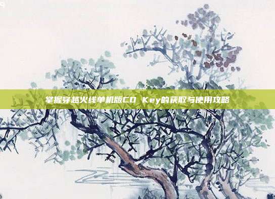 掌握穿越火线单机版CD Key的获取与使用攻略
