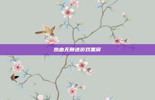 热血无赖进游戏黑屏